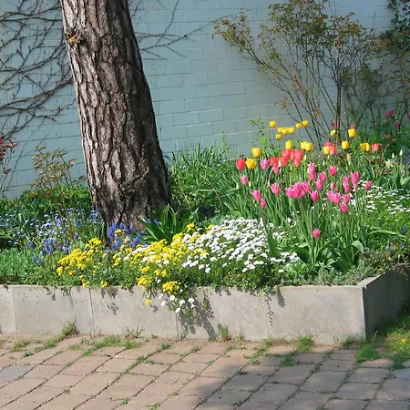 Апартаменты Bismarckshoehe Elfriede