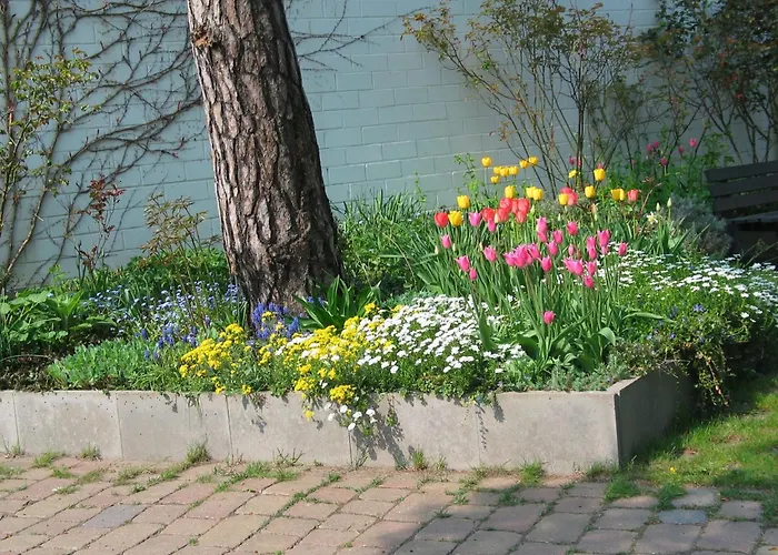 Lägenhet Bismarckshoehe Elfriede